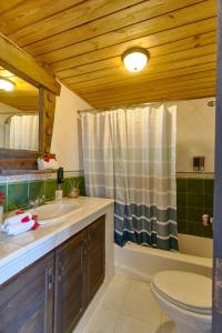 a bathroom with a sink and a toilet and a shower at Villa ines-4X4only-Jarabacoa-View-Jacuzzi-5BR in Jarabacoa +90 photos