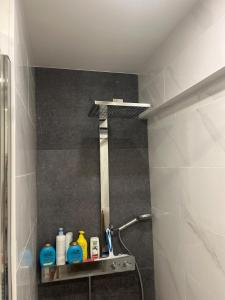 a bathroom with a shower with a shelf with cleaning products at Always luxury for a luxurious life in Grimbergen