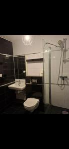 a bathroom with a toilet and a sink at FORT BLIZNE NOCLEGI - superior, standard & basic rooms in Blizne Łaszczyńskiego