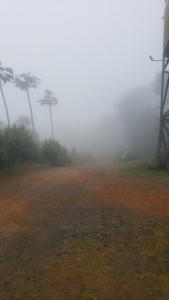 a foggy field with palm trees in the background at Torre de Guadua in Medellín