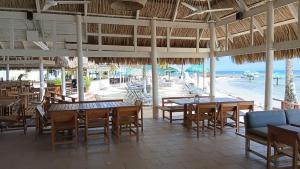a restaurant with tables and chairs and a beach at Las Palmas Beach Roatan in Dixon Cove +48 photos