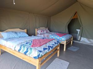 two beds in a tent with towels on them at Oloirien camps in Maasai Mara National Reserve