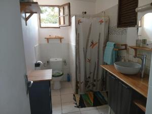 a bathroom with a shower and a toilet and a sink at Chez Myky in Sainte-Marie