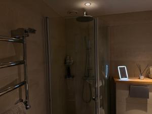 a bathroom with a shower with a glass door at Penthouse Studio in Stockholm