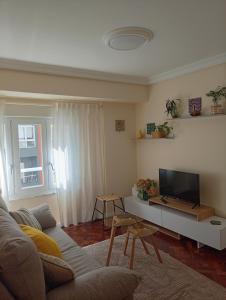 a living room with a couch and a tv at Las Meanas Presbítero 6 in Avilés