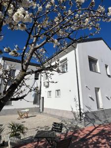 a white building with a tree in front of it at Villa Ibra - Rho Fiera & Milano, Garden & Parking in Paderno Dugnano