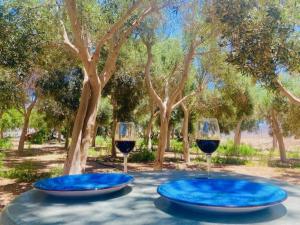 a table with two blue plates and two glasses of wine at Olive Oasis Adults only in Gran Tarajal