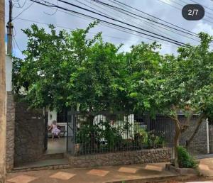 a woman sitting on a bench behind a fence with a tree at Pousada Cantinho da Idná in Uberlândia