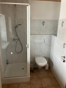 a bathroom with a shower and a toilet at Ferienwohnung Eble bei Markt Rettenbach in Markt Rettenbach +2 photos