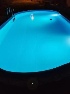a bath tub with blue water in a room at Vila Biva in Vrčin