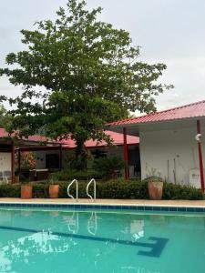 two pair of sandals sitting next to a swimming pool at Finca el milagro Melgar in Melgar