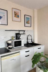 a kitchen with a sink and a microwave at HYPER CENTRE - 2 STUDIOS - 2min PLACE KLEBER in Strasbourg