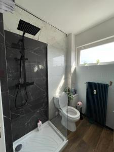 a bathroom with a shower with a toilet and a glass shower stall at HYPER CENTRE - 2 STUDIOS - 2min PLACE KLEBER in Strasbourg