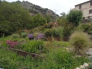 a garden with many different types of plants at La Pommeraie in Casteil
