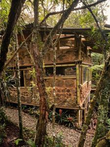 a wooden house in the middle of a forest at Bosque Hondo Ecoliving in Medellín +8 photos