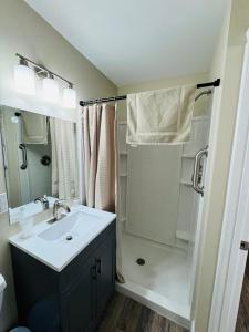 a bathroom with a sink and a shower at Nestle Inn in Hermann +60 photos