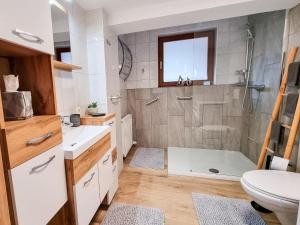 a bathroom with a shower and a toilet at Am Inn Fluss in Langkampfen +30 photos
