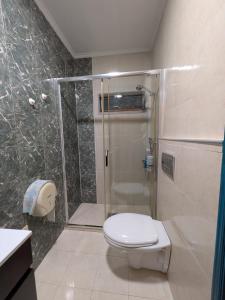 a bathroom with a shower with a toilet and a sink at Herdade da Hera in Azambuja +53 photos