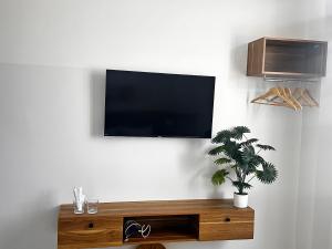 a flat screen tv hanging on a wall with a plant at Mai Phương Motel in Pleiku