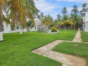 a grassy yard with palm trees and a walkway at Alojamiento en las Huertas in Barrio Nuevo
