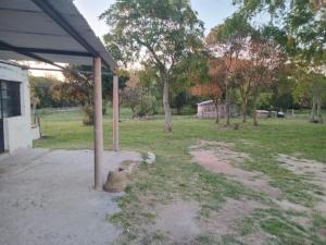 an outside view of a yard with trees and a house at Don Ramón in Colonia del Sacramento