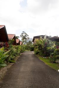 a road leading to a bunch of houses at Cabañas SyC in Fortuna