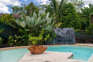 a potted plant sitting next to a swimming pool at Cabañas SyC in Fortuna