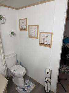 a bathroom with a toilet and pictures on the wall at The Revival Retreat in Gloucester +13 photos