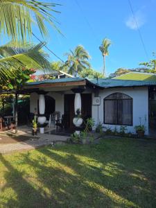 a house with a palm tree in front of it at Micheck beach house in Tortuguero