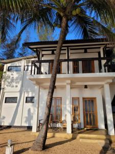 a house with a palm tree in front of it at Galaxy Lounge in Arugam Bay
