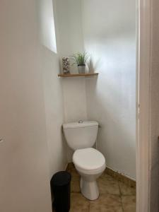 a bathroom with a toilet with a plant on a shelf at Maison a Confluence T2BZ-Tram in La Mulatière +3 photos