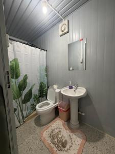 a bathroom with a toilet and a sink at Stella'z guesthouse in Siquijor +262 photos