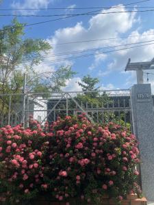 a bush of pink roses in front of a grave at Vùng ven Homestay in Cho Lach
