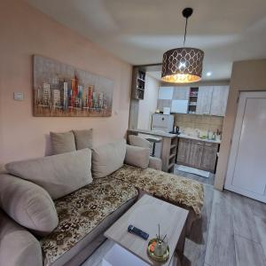 a living room with a couch and a kitchen at Square Apartment in Paraćin