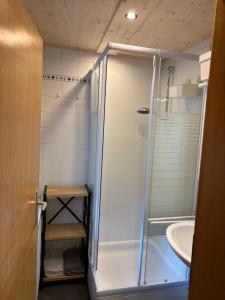 a bathroom with a shower and a sink at Almhaus Veitlmichl in Mainsdorf +20 photos
