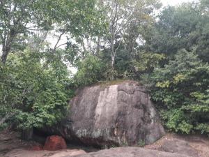 a large rock with trees on top of it at Swastha Retreat in Polgahawila