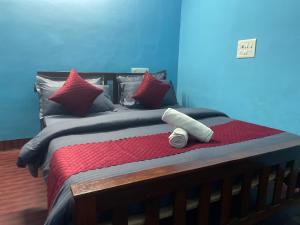 a bed with red and black pillows and a bottle on it at Villa Mountain Pearl in Chikmagalūr