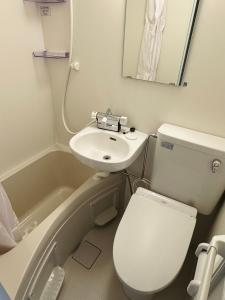a small bathroom with a toilet and a sink at HAOSTAY Eirin in Fujikawaguchiko +33 photos