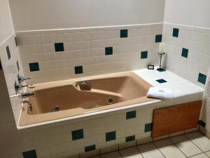 Koupelna v ubytování Guadalupe Inn
