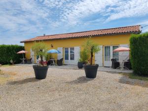 a yellow house with two potted trees in front of it at Le colibri in Barbotan-les-Thermes