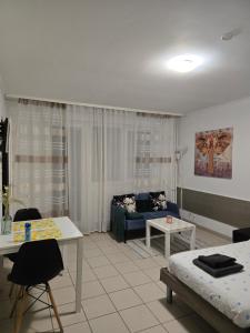 a living room with a couch and a table at Studio 110 pres Basel Airport in Saint-Louis