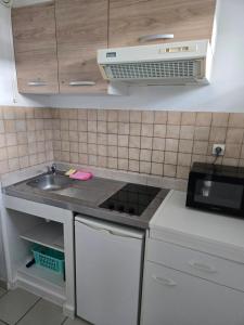 a small kitchen with a sink and a microwave at Studio 110 pres Basel Airport in Saint-Louis +2 photos