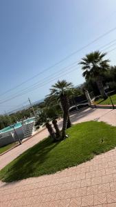 a group of palm trees in a park at VILLA GIUDICE Luxury Home with Private Pool in Priolo Gargallo +17 photos