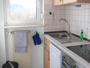a small kitchen with a sink and a window at Villa Hochwald Familienhaus in Geisfeld