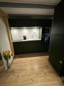 a kitchen with dark green cabinets and a sink at Maison avec spa in Maisdon-sur-Sèvre