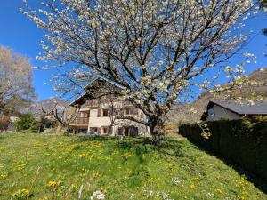 a tree in a yard with a house at Chambres indépendantes chez l'habitant in Saint-Pierre-dʼAlbigny