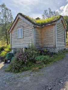 a small house with a grass roof with flowers at Urastova in Vassenden
