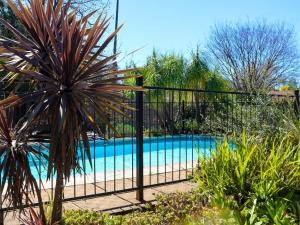a fence around a swimming pool in a garden at Wild Olive Luxury Accommodation in Newcastle