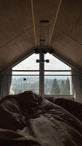 a bed in a room with a large window at Vistachalet in Yablunytsya