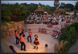 a group of people dancing in front of a concert at Luxe 6 persoons Chalet camping Leï Suves Cote d'Azur Roquebrune-sur argens in Roquebrune-sur-Argens +29 photos